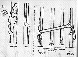 inner beams