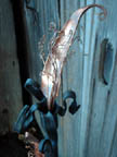 Coppertop