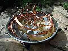 Silver Broadleaf