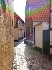 Ribe
