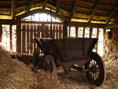 Wagon