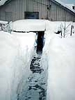 no winter courses