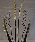 Garden Art